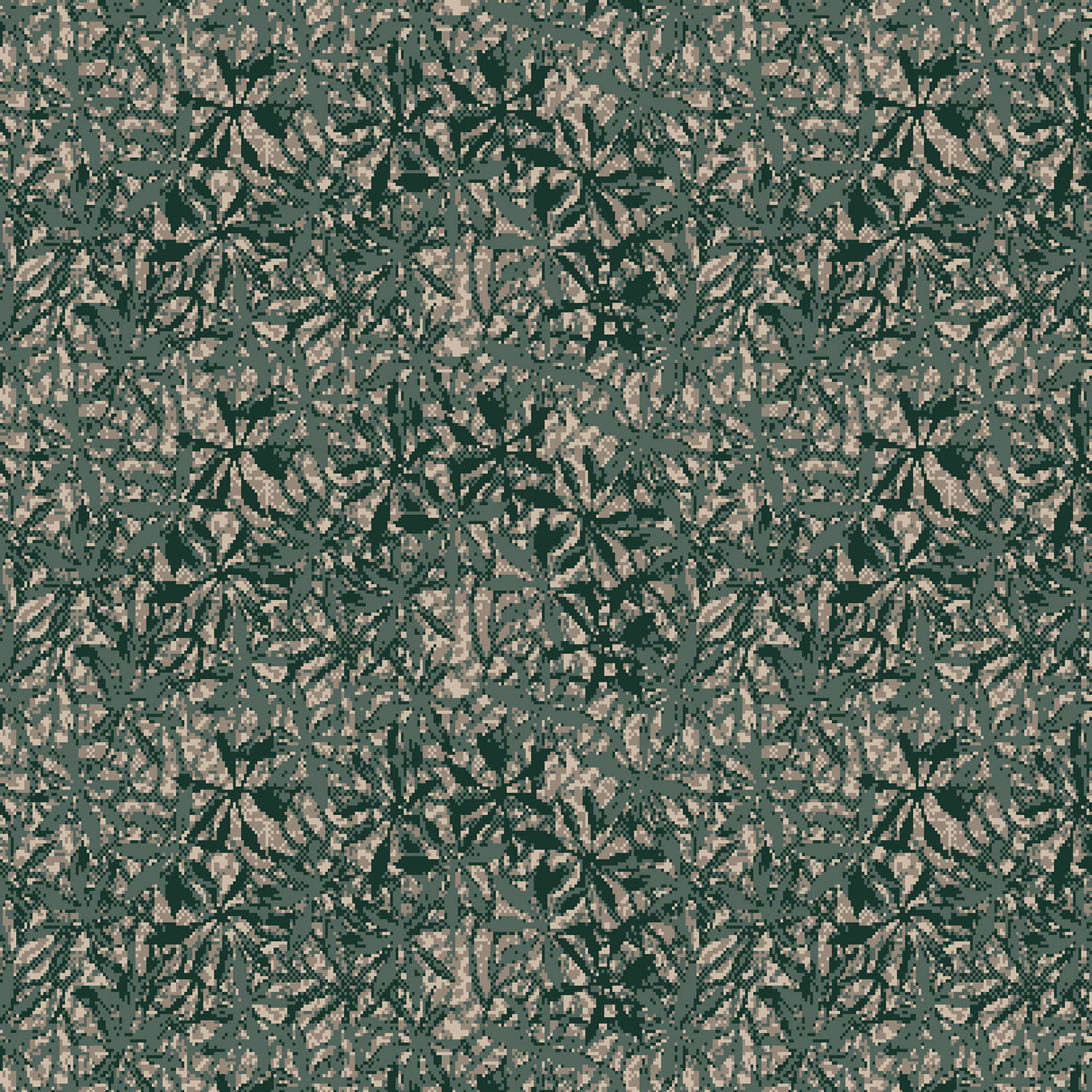 10006C